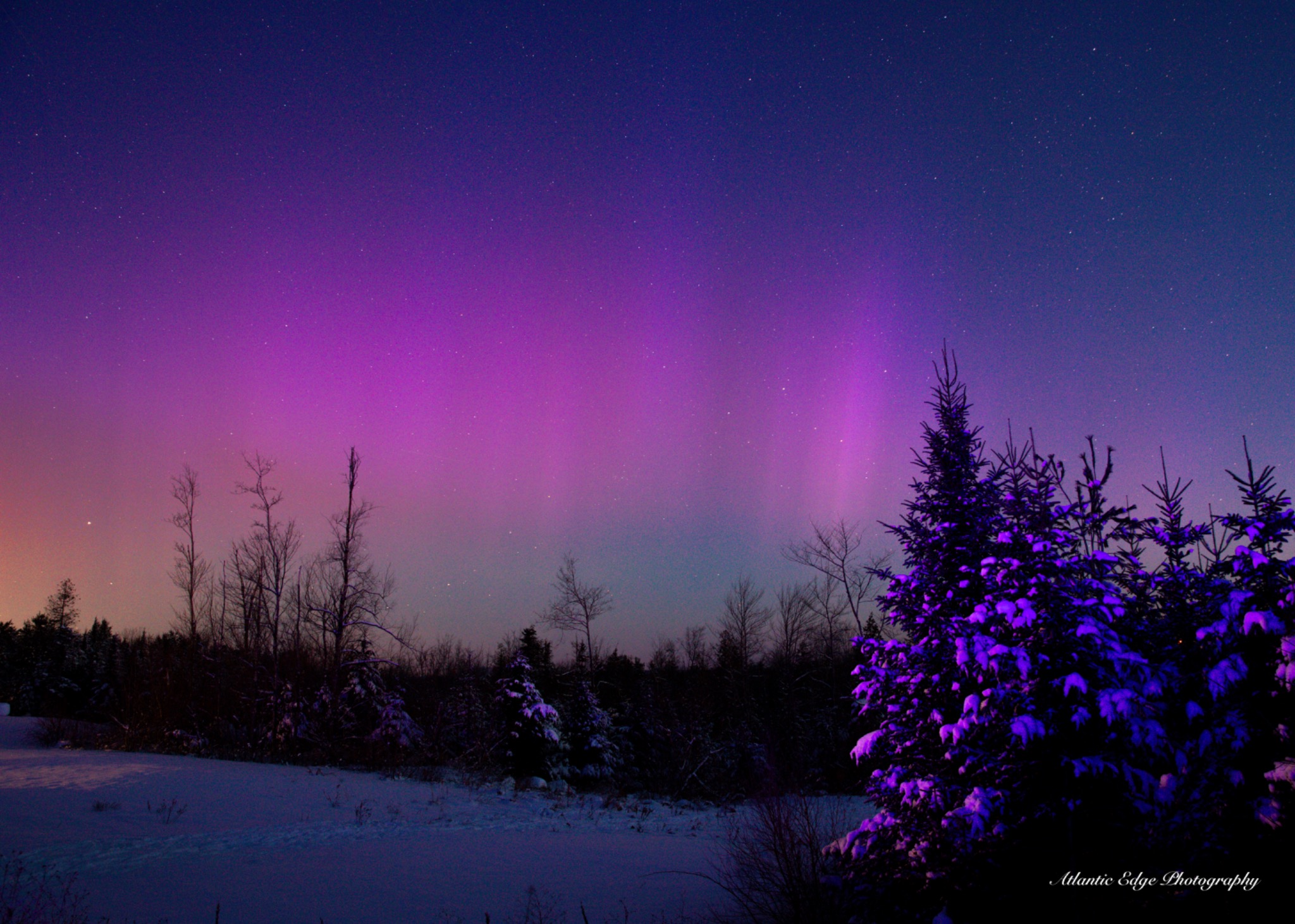 Winter Northern Lights