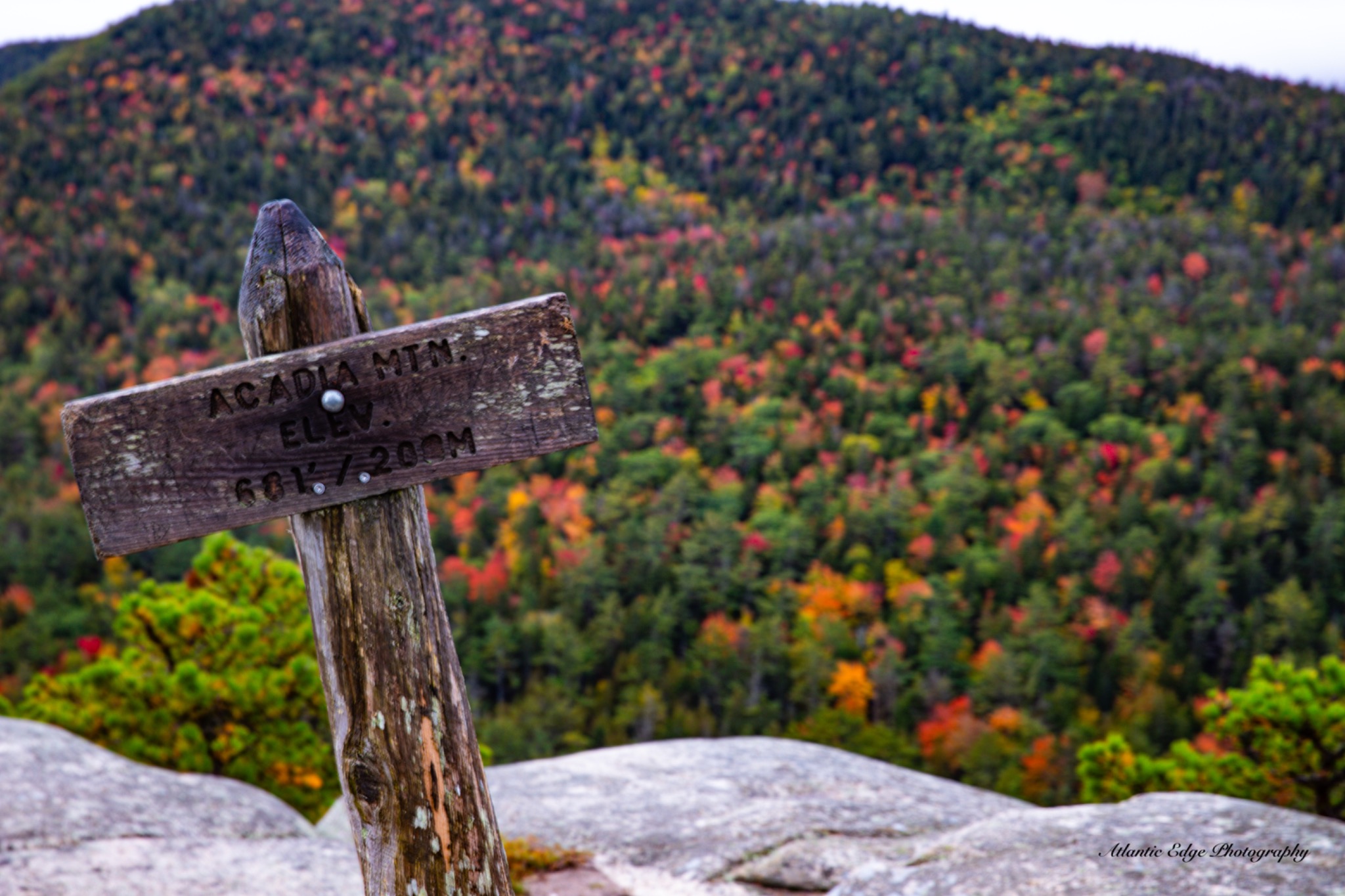 Acadia Mountain Autumn