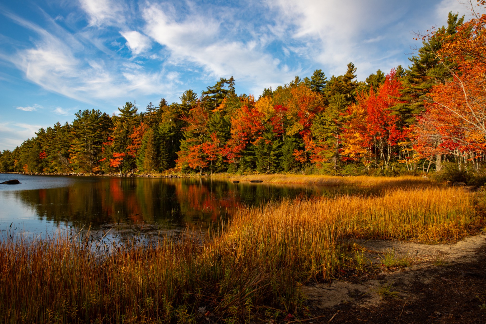 Bar Harbor Road Foliage
