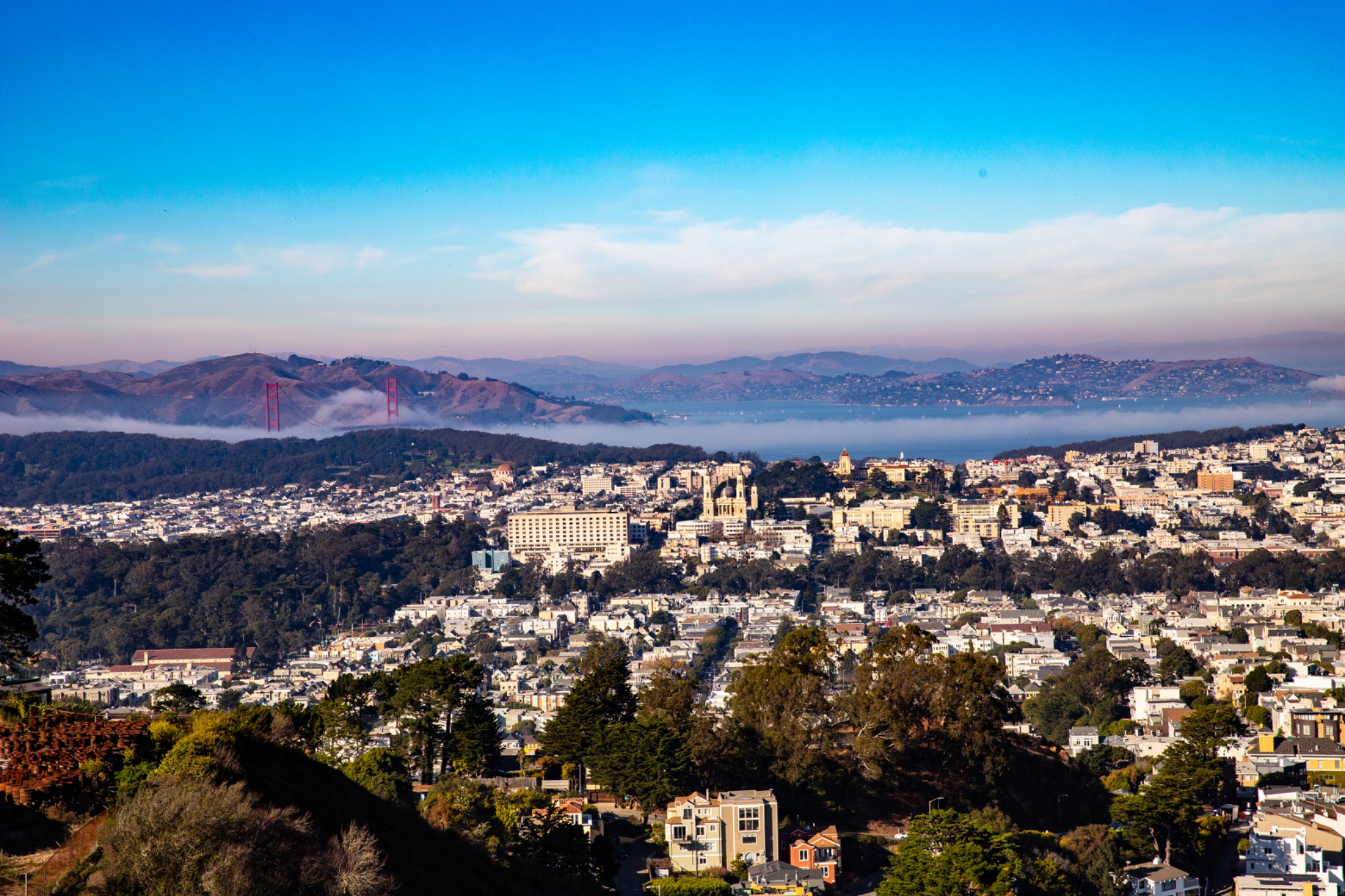 San Francisco landscape